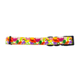 Load image into Gallery viewer, Tutti Frutti Collar
