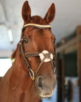 Load image into Gallery viewer, Gold Accented Figure 8 Bridle with Gold Browband
