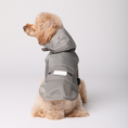 Load image into Gallery viewer, BOWERY RAINCOAT - GRAY
