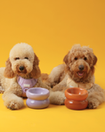 Load image into Gallery viewer, Soufflé Pet Bowl - Purple
