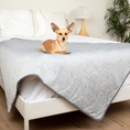 Load image into Gallery viewer, PupChill™ Cooling Waterproof Blanket - Arctic Grey 
