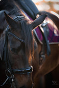 Load image into Gallery viewer, Ultraviolet Saddle Pad Set
