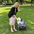 Load image into Gallery viewer, Mr. Peanut's Gold Series Standard Size Airline Compliant Expandable Pet Carrier
