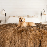 PupProtector™ Waterproof Throw Blanket - Sable Tan