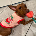 Load image into Gallery viewer, Parisian Pet 'One in a Melon' Dog Shirt – Fun Summer Pet T-Shirt for Dogs & Cats, Pink
