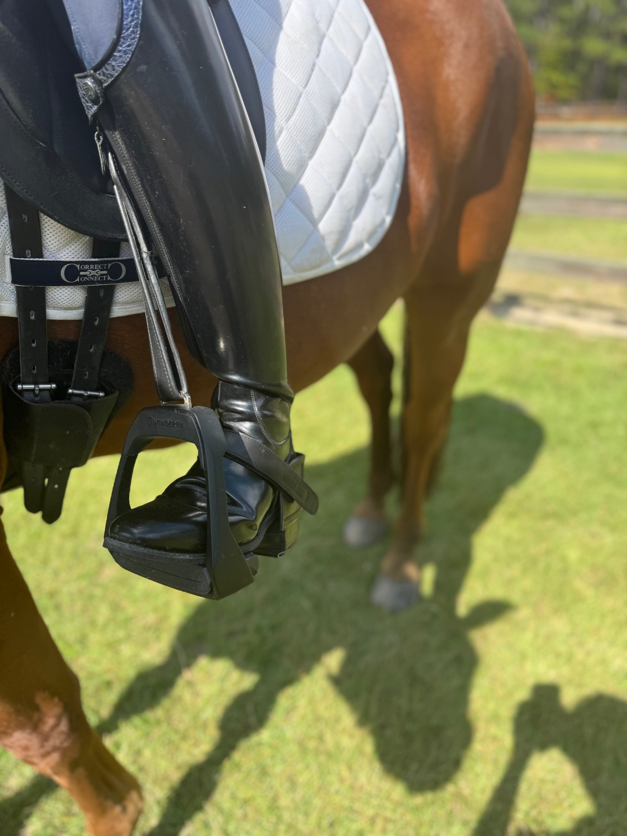 Equisole EXternal-Weighted Training Aid attached to a riding stirrup on a horse, enhancing equestrian training.
