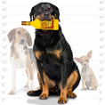 Load image into Gallery viewer, Silly Squeakers®  Liquor Bottle - Jose El Perro
