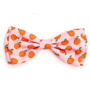 Peachy Keen Bow Tie