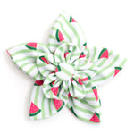 Green Stripe Watermelon Flower