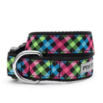 Carnival Check Collar & Lead Collection