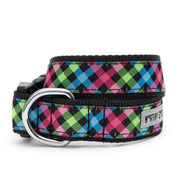 Carnival Check Collar & Lead Collection