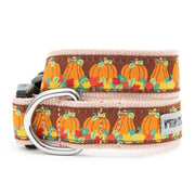 Pumpkin Patch Collar & Lead Collection
