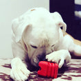 Load image into Gallery viewer, Heart on a String Dog Toy - Durable Rubber Tug Toy for Large Dogs | USA Made
