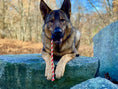 Load image into Gallery viewer, USA-K9 Magnum Skull - Black Magnum Rubber Chew Toy for Extreme Chewers | USA Made
