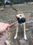 Load image into Gallery viewer, USA-K9 Magnum Skull - Black Magnum Rubber Chew Toy for Extreme Chewers | USA Made
