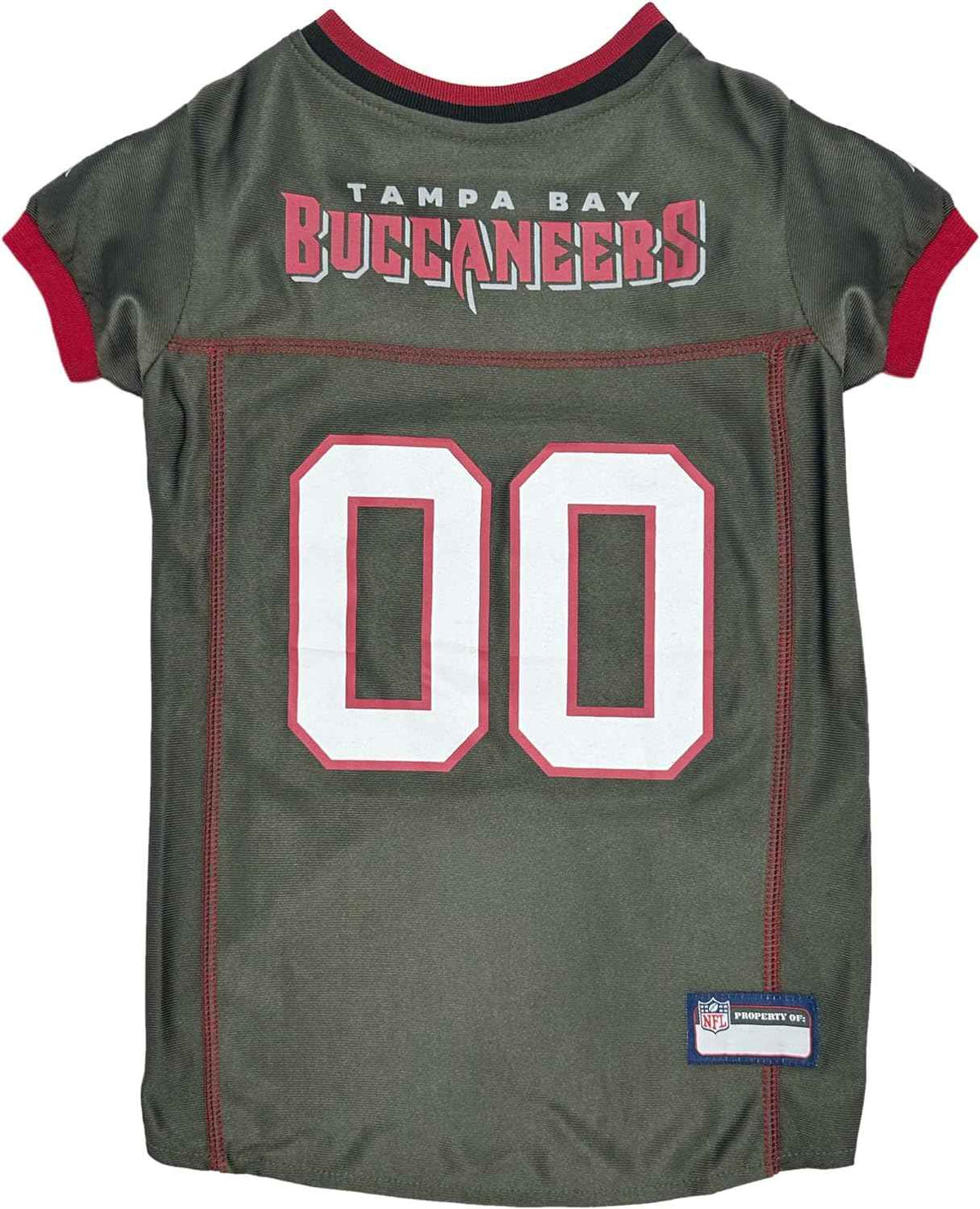 NFL Tampa Bay Buccaneers Color Rush Dog Jersey