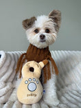 Load image into Gallery viewer, 888 TEQUILA - Southlake Paws
