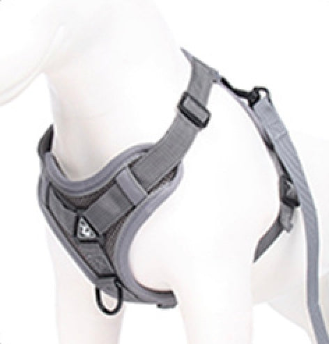 The Ultimate Dachshund Harness 