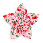 Pink Cherries Jubilee Flower