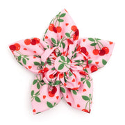 Pink Cherries Jubilee Flower