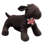 Pink Cherries Jubilee Flower