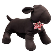 Pink Cherries Jubilee Flower