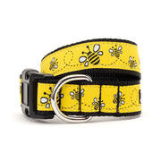 Yellow Bzzz! Collar & Lead Collection