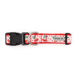 Pink Cherries Jubilee Collar & Lead Collection