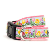 Blue Hello Spring Collar & Lead Collection