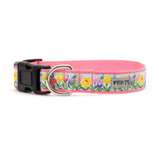 Blue Hello Spring Collar & Lead Collection