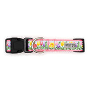 Blue Hello Spring Collar & Lead Collection