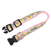 Blue Hello Spring Collar & Lead Collection