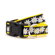 Black Lazy Daisy Collar & Lead Collection