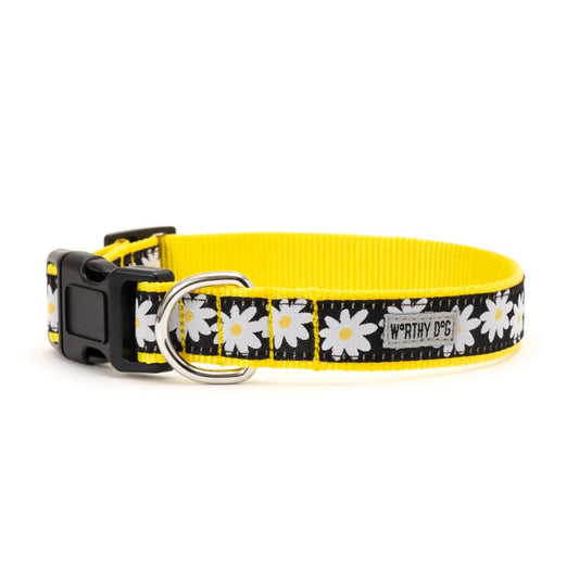 Black Lazy Daisy Collar & Lead Collection