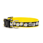 Black Lazy Daisy Collar & Lead Collection