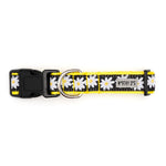 Black Lazy Daisy Collar & Lead Collection