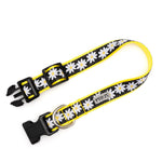 Black Lazy Daisy Collar & Lead Collection
