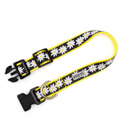 Black Lazy Daisy Collar & Lead Collection