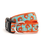 Blue Shrimp Collar & Lead Collection