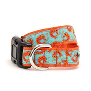 Blue Shrimp Collar & Lead Collection