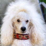 Skull and Roses Dog Collar 