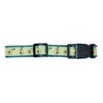 Avocados Collar & Lead Collection