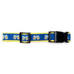 Cheers! Collar & Lead Collection