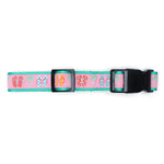 Flip Flops Collar & Lead Collection