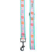 Flip Flops Collar & Lead Collection