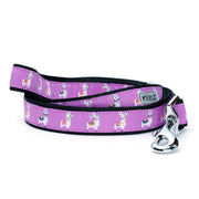 Llamas Collar & Lead Collection