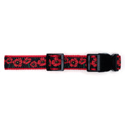Poppies Collar & Lead Collection