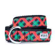 Holiday Check Collar & Lead Collection