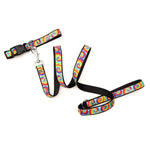 Kaleidoscope Collar & Lead Collection