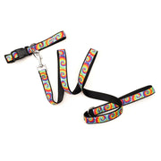 Kaleidoscope Collar & Lead Collection